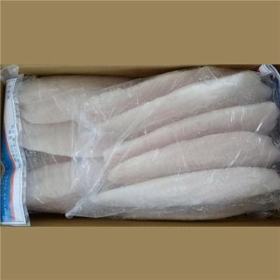 福州進(jìn)口巴基斯坦水產(chǎn)品代理報(bào)關(guān)